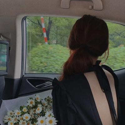 被渣后,皇帝替我来虐渣